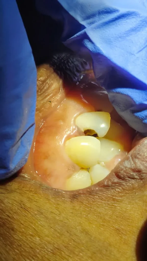 whatsapp image 2026 04 02 at 6.49.23 pm